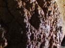 Mangfallsinterdeckenhöhle - Eingewobener Sinter - Spinnen überall