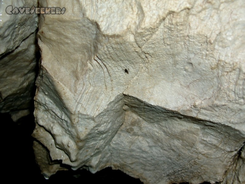 Meanderhöhle F.: Merkwürdige Felsstruktur. Würm 17?