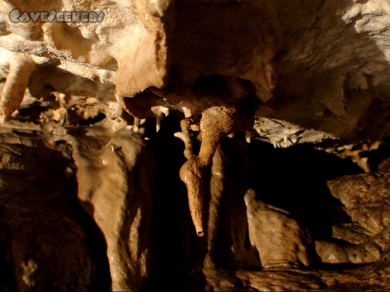 Meanderhöhle V.: Der erste Krüppel - äh Excentriker.