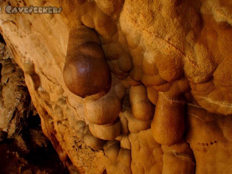 Meanderhöhle V.: Es hängt. Um sich eine Vorstellung der Größe dieser Teile machen zu können: Sie passen angenehm in große Hände.