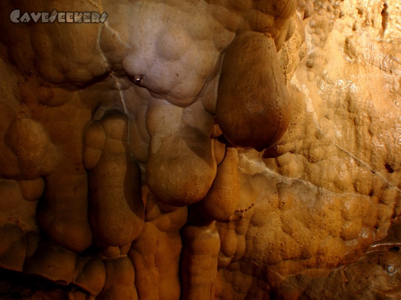 Meanderhöhle V.: Es hängt.
