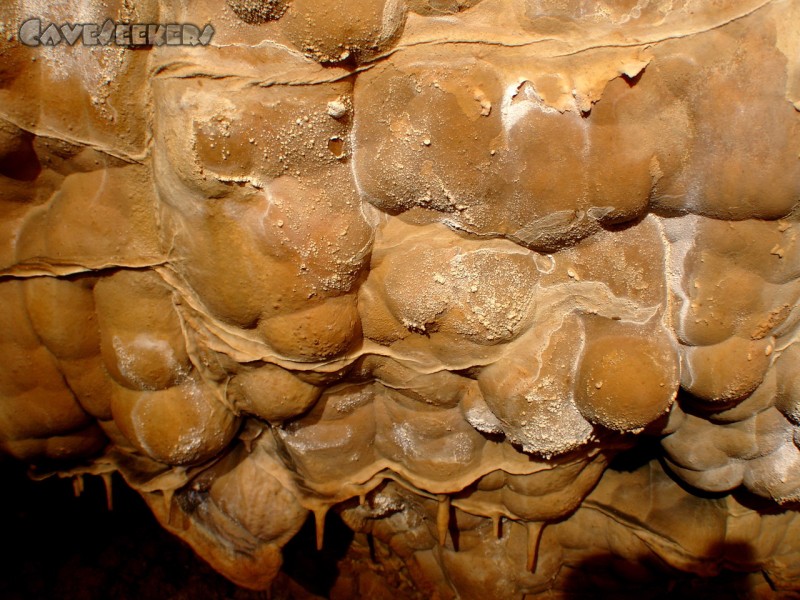 Meanderhöhle V.: Ausschlag.