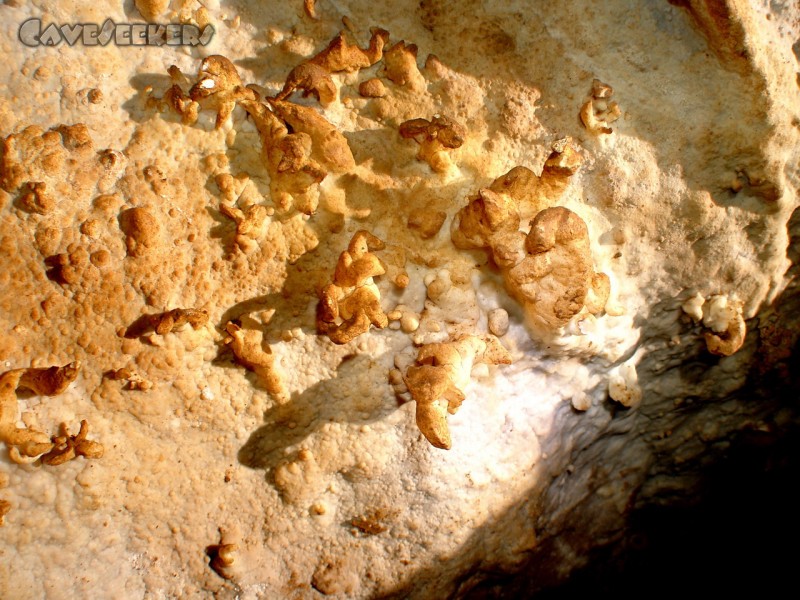 Meanderhöhle V.: Unübersichtliches.