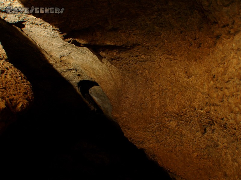 Meanderhöhle V.: Meanderhöhlenprofil - es meandert.