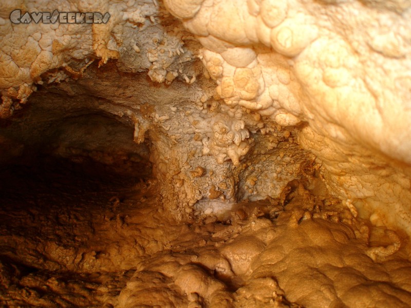 Meanderhöhle V.: Excentrikersuchbild. Wer zählt die meißten?