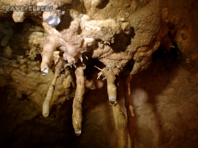 Meanderhöhle V.: Herrlich.