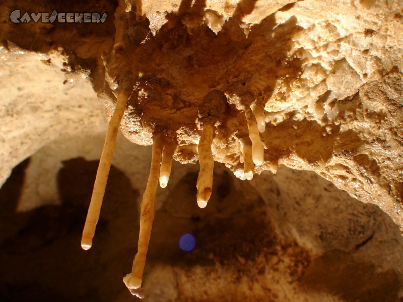 Meanderhöhle V.: Auch schön.