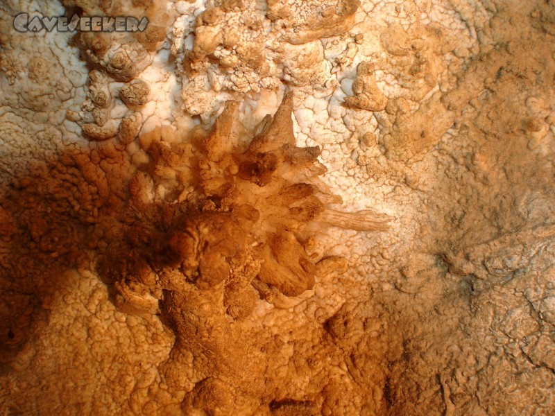 Meanderhöhle V.: Kristall oder Bärenschliff?