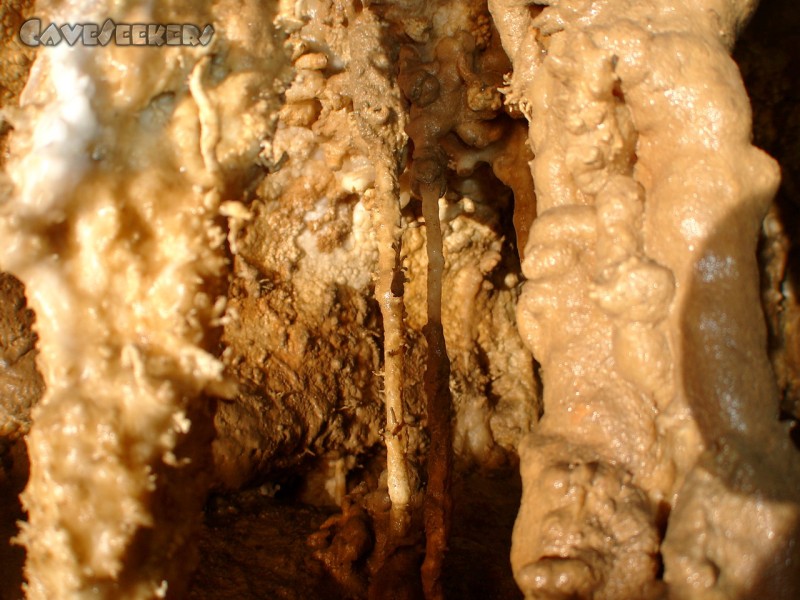 Meanderhöhle V.: Gar filligran.