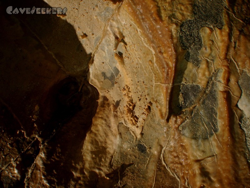 Meanderhöhle V.: Gedärm.