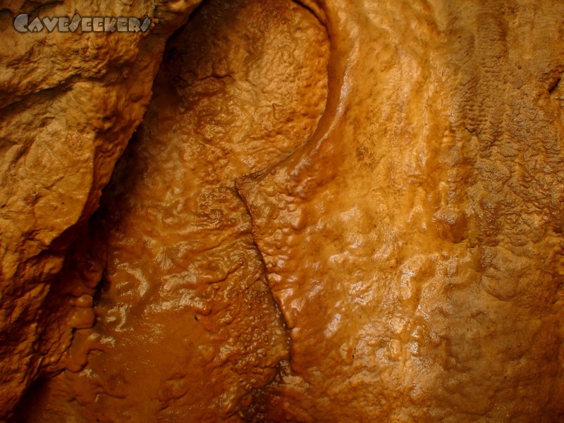 Meanderhöhle V.: Alien.