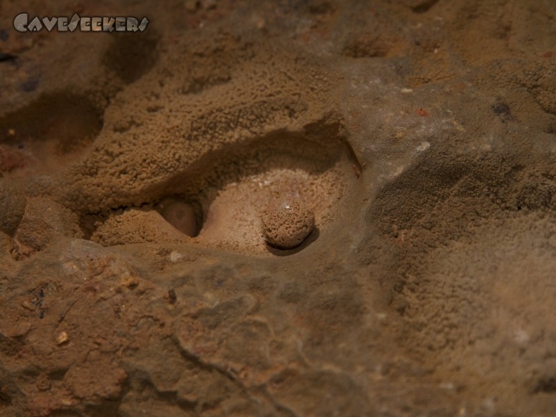 Medvedja Jama - Sinter- oder gar Höhlenperle. Medvedja Jama - Sinter- oder gar Höhlenperle.