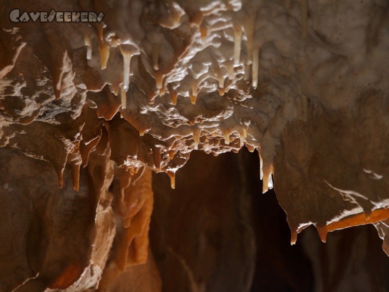 Medvedja Jama Medvedja Jama