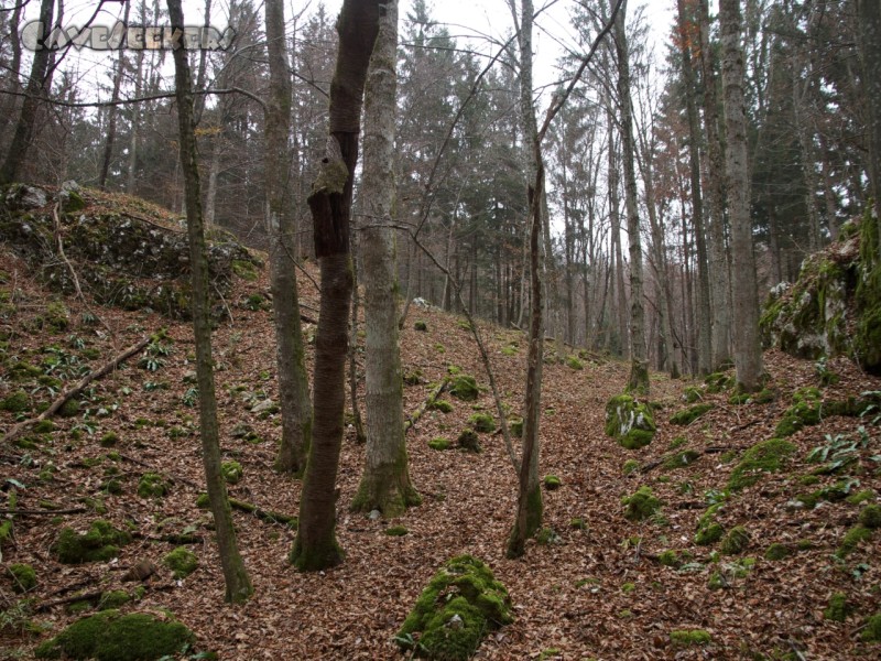 Medvedja Jama - Blick vom Loch ins Land.