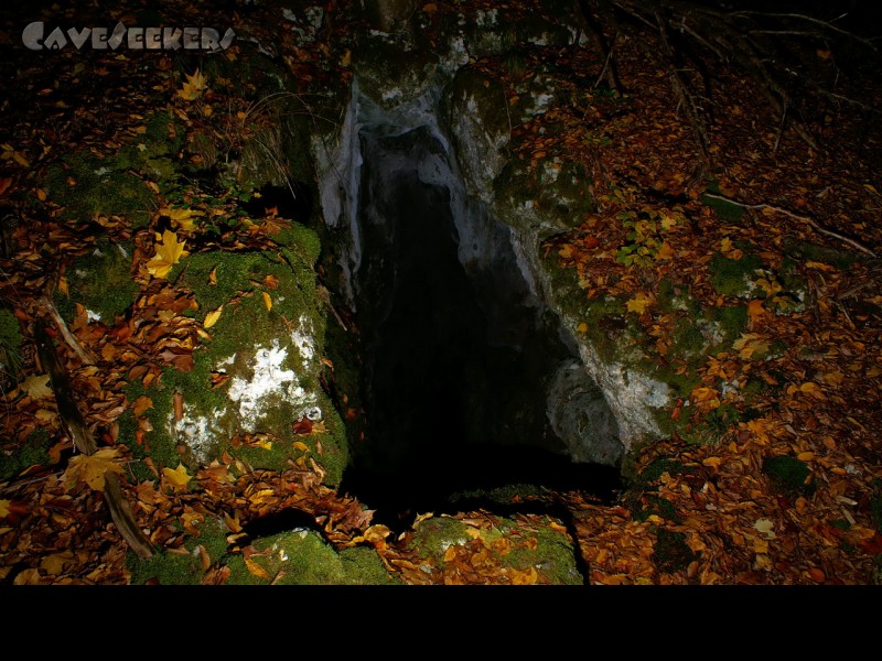Moorloch: Der riesige Eingang der Höhle