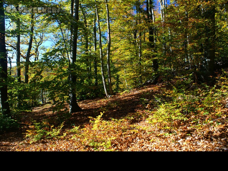 Moorloch: Herrliche Gegend - nicht nur für Wanderer