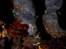 Moorloch - Höhlen-Diarrhö