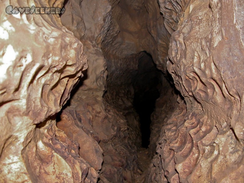 Mordloch: Gangprofil Rattengang