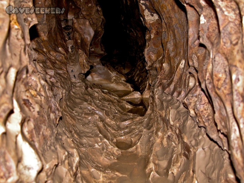 Mordloch: Bodenprofil