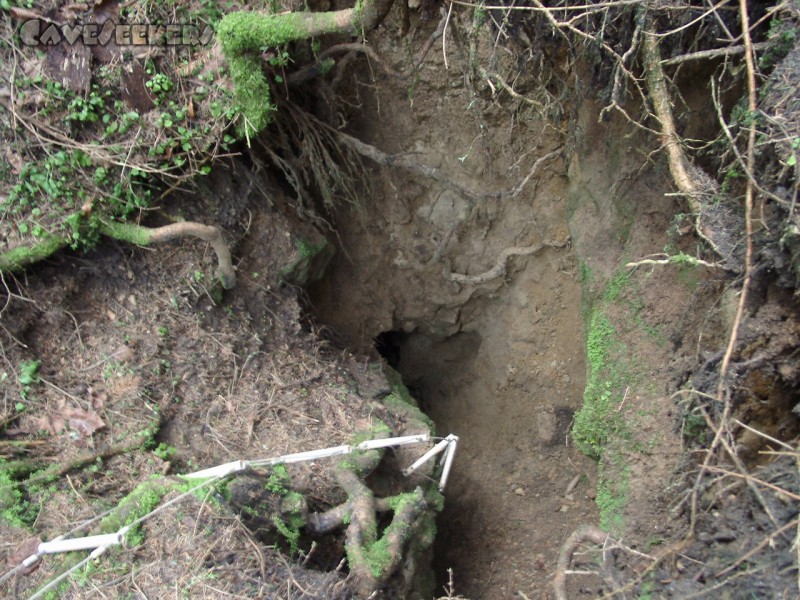 Mutantenkäferponor: Einer der Einstiege - ein eher fragiles Loch Boden - umgeben von zahlriechen Dolinen. Hier mit Einstiegshilfe für alte Männer.