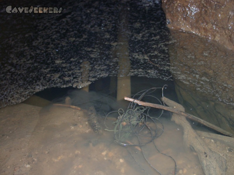 Mutantenkäferponor: Der erste Siphon - gut zu erkennen ist ein ekelhafter Schleim an der Wasseroberfläche. Vermutlich handelt es sich dabei um landwirtschaftliche Abfallprodukte. Macht aber nix, weil wer kommt schon hierher? Das Wasser unter dem Schleim ist dafür aber kristallklar.