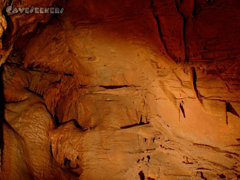 Nikkilauda Höhle: Hier darf sich konzentriert werden: horizontales Sinterwachstum. Beeindruckend.