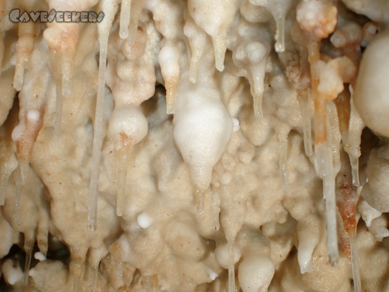 Nikkilauda Höhle: Sieht aus wie Schaum. Eine Überprüfung mit entblösstem Finger ergab jedoch, dass es sich um festes Gestein handelt.