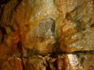 Nikotinhöhle