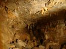 Nikotinhöhle - Die Nikotinhalle im Überblick.