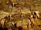 Nikotinhöhle