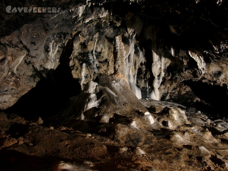 Osterhöhle: Fußspuren vor lebendem Sinter.