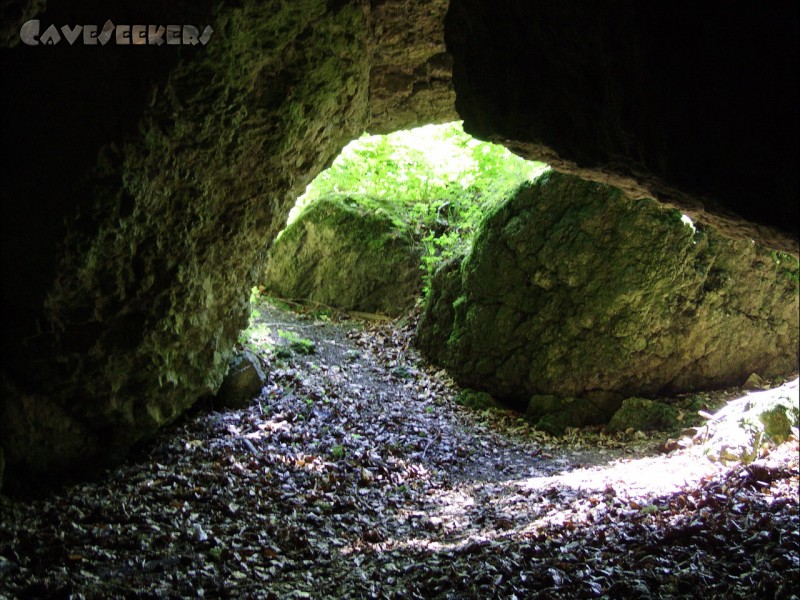 Osterloch: Geschärfter Blick nach draussen