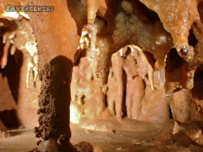 Paredu na Gropajsk: Makro-Wipplinger. Die Not macht erfinderisch.