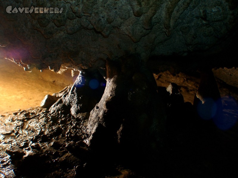 Petershöhle: Auf der Sinterplatte.