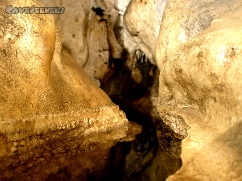 Petershöhle: Schönes Sinterbecken zum Abschluß.