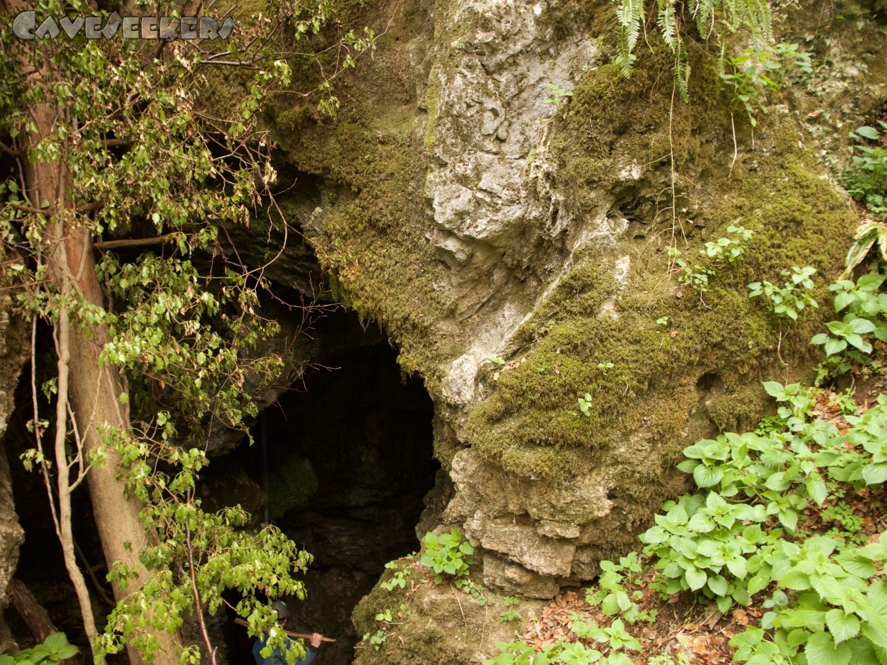 Ponikevska Draga: Höhleneingang.