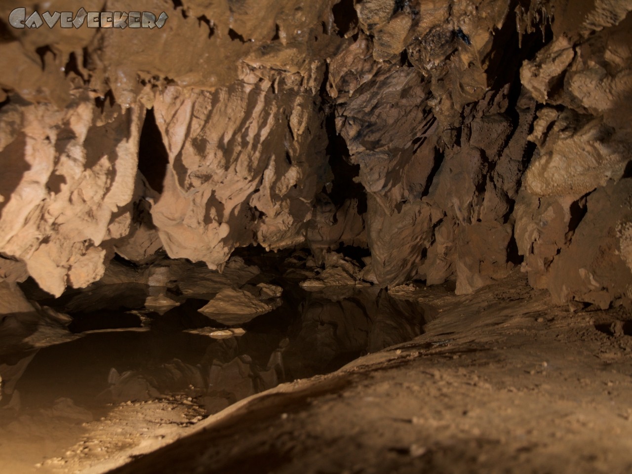 Pourpevelle: Der Anfang der unteren Strecke zur Höhle. Zur Warnung riecht es hier schön nach Urin. Wer hier ist, ist falsch.