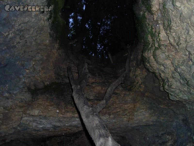 Pumperhöhle: Blick nach Aussen. Wie zu erkennen ist, herrscht ausserhalb noch ein wenig Tageslicht.