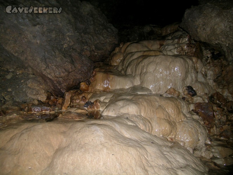 Pumperhöhle: Der gute Sinterbeckenfall. Trotz all' des Drecks erstaunlich schön.