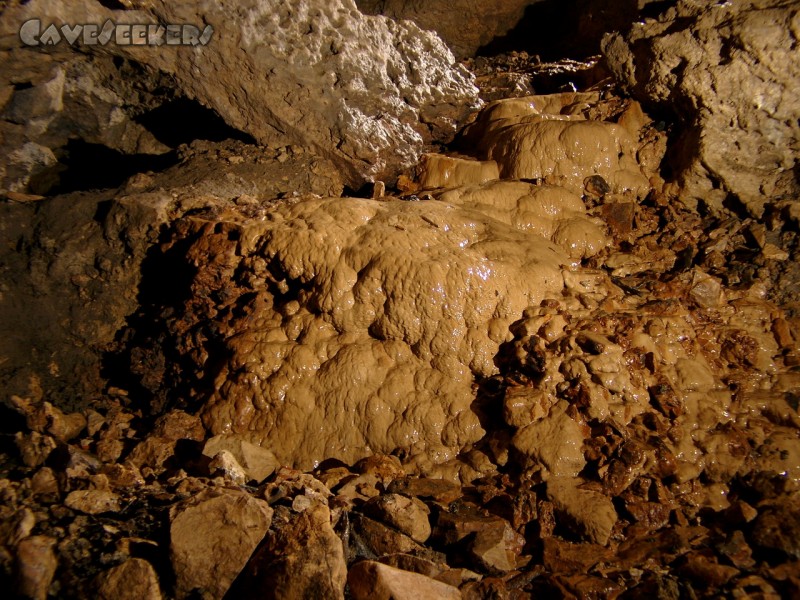 Pumperhöhle: Ein Prachtstück