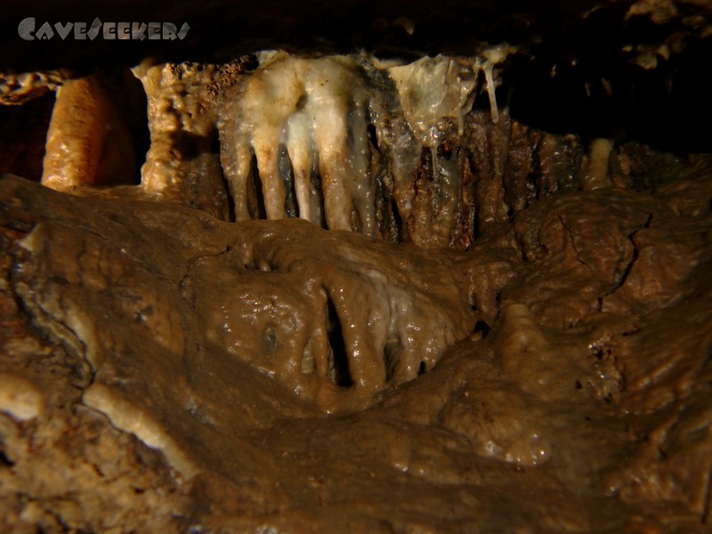 Pumperhöhle: Herrlichster Sinter