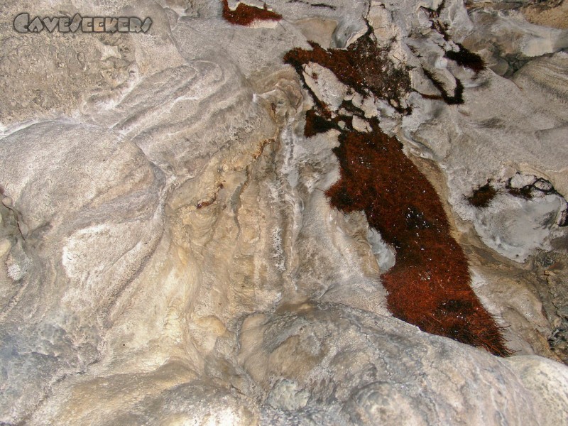 Räuberloch Osternohe: Beeindruckende Wurzelbusche an der Decke - jedoch aus der zweiten moglichen Perspektive.