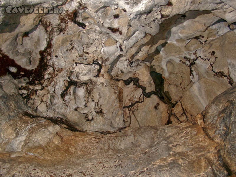 Räuberloch Osternohe: Beeindruckende Wurzeln der Decke.