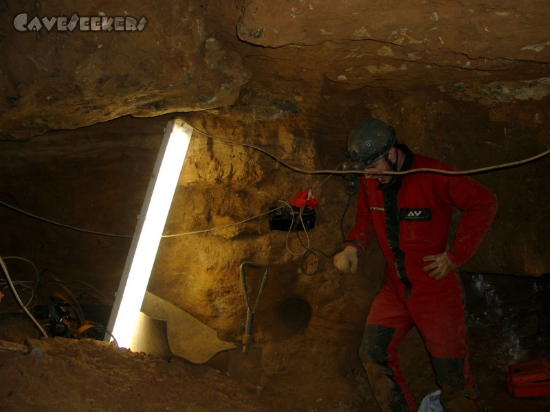 Randdesacker Erdfall: Nach getaner Arbeit läßt es sich manchmal nicht verhindern beim Gänen fotografiert zu werden.