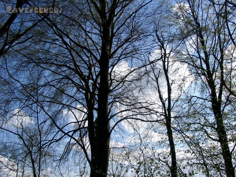 Randdesacker Erdfall: Unglaublich: Hinter dem mit Baum erkennt das geschulte Auge blauen Himmel. Franken ist schön.