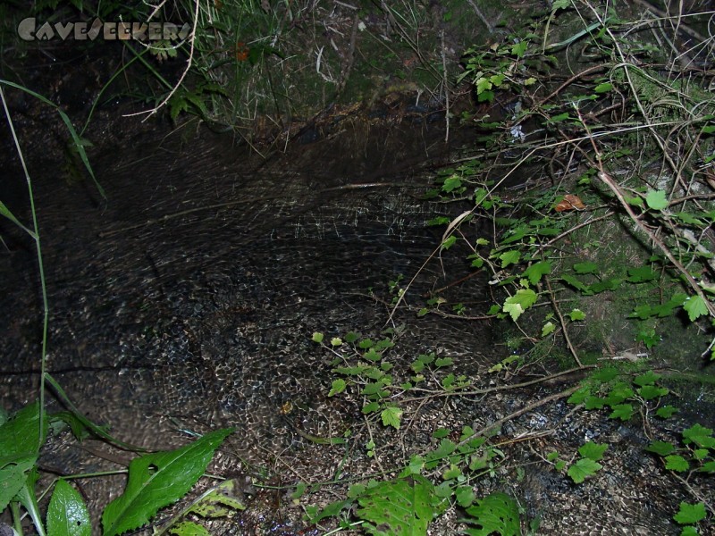 Randdesacker Erdfall: Harnbachquelle 2.