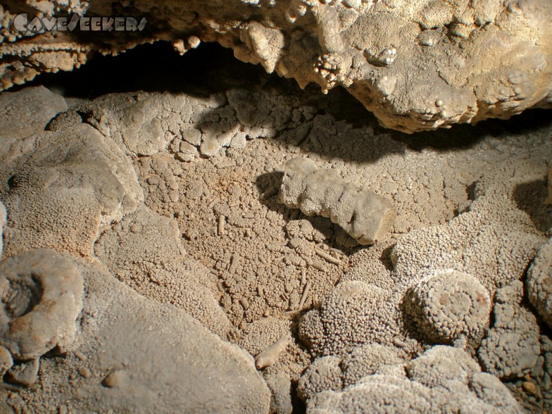 Rebceva jama: Trockengefallenens.