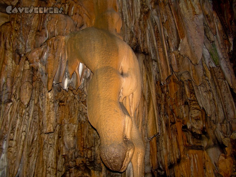 Red Flute Cave: Hier assoziiert auch der Europäer.