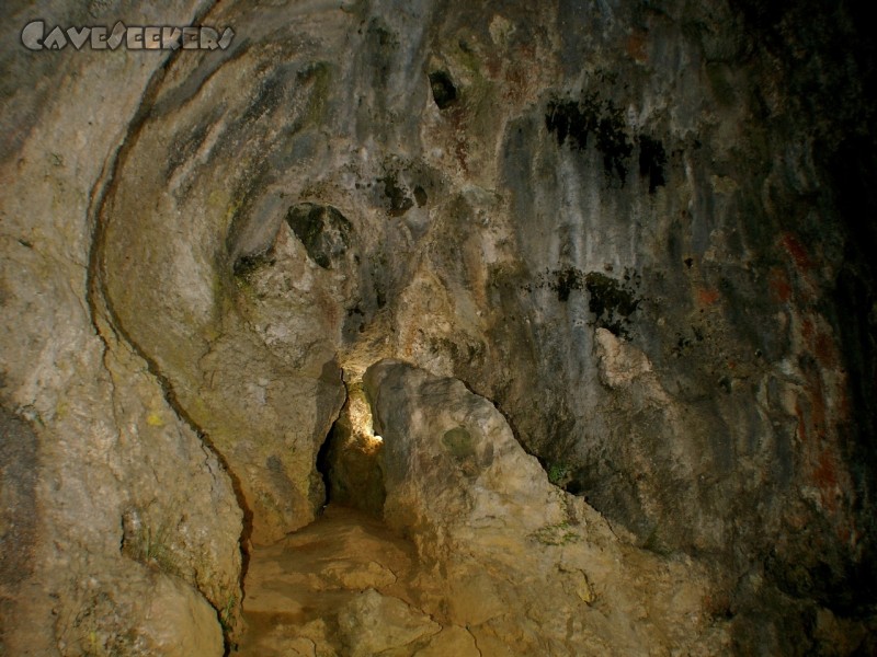 Rennerfelshöhle: Höhleneingang. In der Mitte einer großen Felswand. Mit fest installiertem Zum-Geo-Cache-Trampel-Pfad.