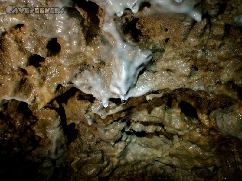 Rennerfelshöhle: Weisser Sinter.